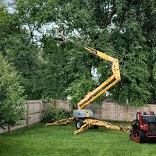 Professional Tree Services in Penn Farms, PA